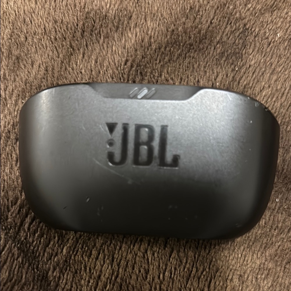 JBL Black Earbud Headphones
